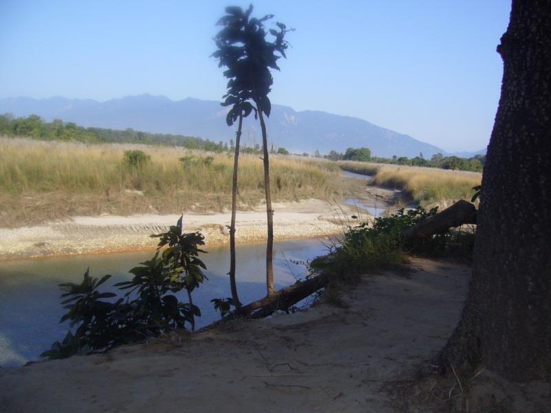 Forest Hideaway Resort Pvt Ltd Bardiya Exterior photo