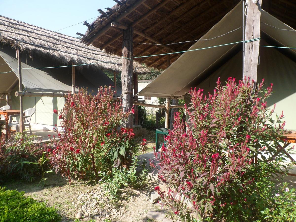 Forest Hideaway Resort Pvt Ltd Bardiya Exterior photo